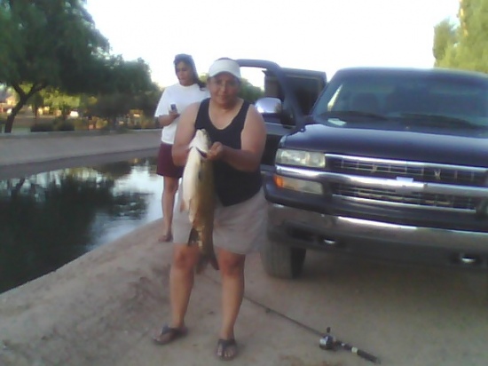 carp caught in canal at avodale az