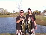 These two bass were caught on march 24th 2010 on live shiners, sight fished off a bed.The fish on the left is 14lbs and the one on the right is 10lbs. Both fish were released unharmed.