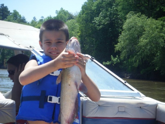 my sone caught this catfish a lake blackshire