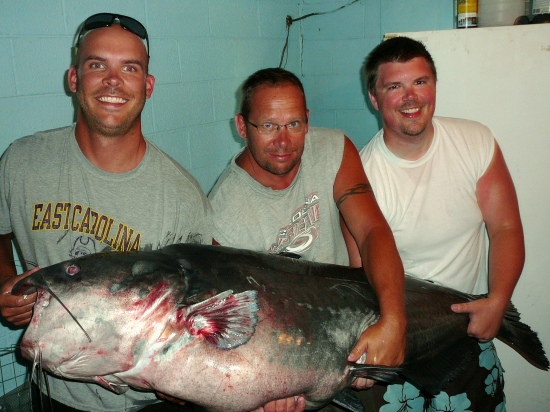 Thought this would be an interesting story about my roommate catching a world record blue catfish.   Nick Anderson, a 29 year old high school football coach at Kinston High School from Greenville, NC caught a world record setting blue catfish on Saturday June 18th, 2011 at Kerr Lake in Virginia.  The fish weighed in at 143 lbs.  The previous record was caught in Missouri in July of last year. The fish fought for a staggering 45 minutes.  Anderson was fishing with his father to celebrate fathers day when the fish was landed.   Thanks!   Ryan Gieselman