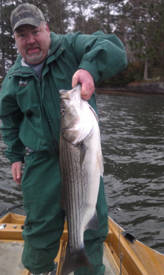 14 pounds 35 inches long. my best striper yet.