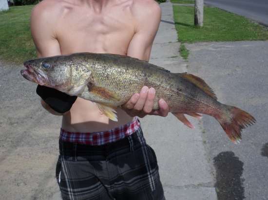 6 pound 5 oz. walleye caught on the Oswagatchie River, Heuvelton, New York