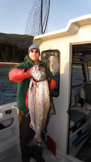 37 lbs. King Salmon caught near Juneau, Alaska in December of 2013.
