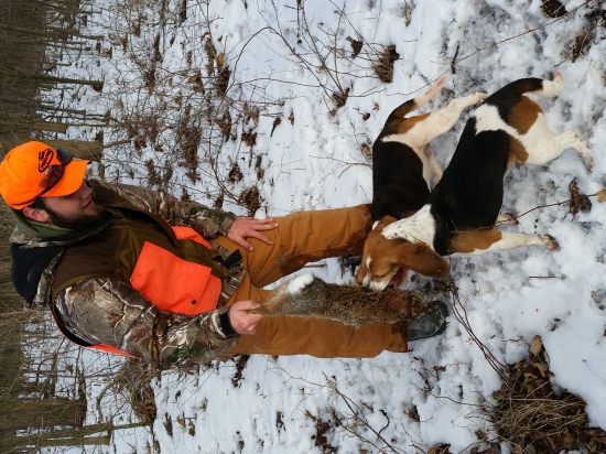 Hunting with the dogs, awsome day