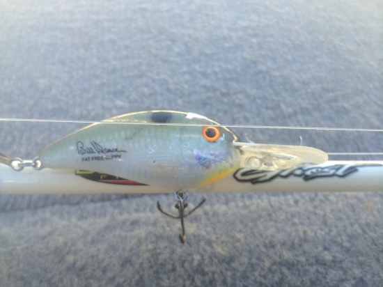 Anyone know where I can purchase one of these? This is the older model Bill Dance Fat Free Guppy in the old Tennessee Shad color.