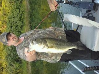 Caught in fulton county il. Weight 8lbs 12oz biggest bass I've ever caught!