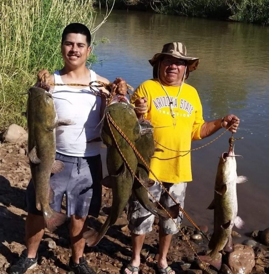 Me and my dad caught these on my birthday right below the diversion dam on the salt river right above Roosevelt lake AZ . Caught these Nice flatheads on live blue gills big one too . What a good father son fishing trip.!