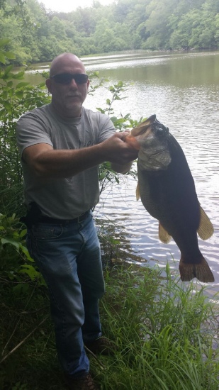 north carolina farm pond bass, didnt have a scale but estimated in the 11 to 12 pound range, released it to grow a little more.