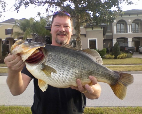 Caught this 13 pounder in Winter Garden Florida in a private pond on February 6, 2010. Using a Booyah dancin buzz that I saw Bill Dance use a few years ago.