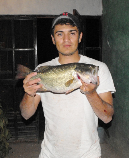 i cought this bass down in mexico. it weight 5.2 lbs. i love fishing down there. got more pictures of another couple of fishing trips down there.