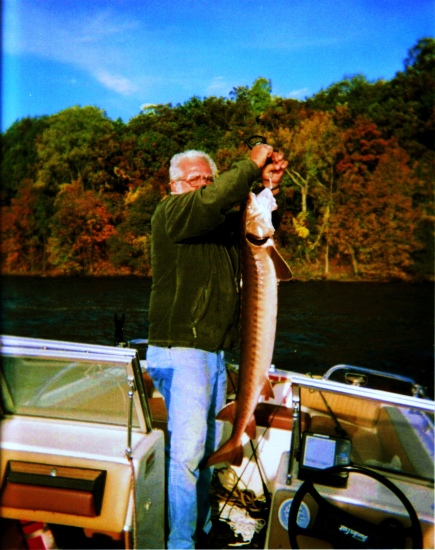 This is a 52in 35 pound lake sturgon. This fish was cought on lake wisconsin about late oct.of 2008.late in the afternoon. this is the bigest fish i ever cought in my life.