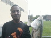 Caught in chester Pa. down by ppl  park in delware river 38 and half inches. caught with blood worms. sat april 14 2012.