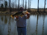 Bill ,i caught this 7.5 lb large mouth in my private pond in Amelia Va March 22 2009 it,s my largest so far