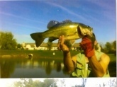 my wife caught this in are housing addition retention pond on a hot dog.