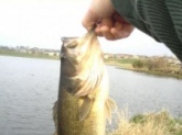 5-6 lb. Bass caught in Nebraska.