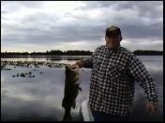 Large mouth bass. Caught and released in Feb. 2008 on Lake Hernando in Hernando, FL.  14lbs. 12oz.