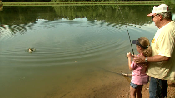 Bill Dance's Top Tips for Bank Fishing
