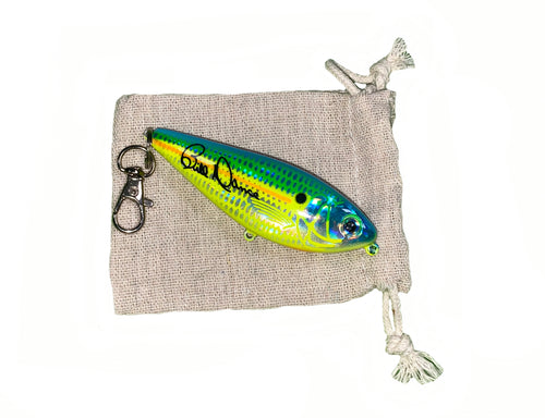 Multi-colored plastic key-chain shaped like Bill Dance's signature shad lure